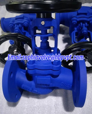 DN50 DN100 DN200 GS-C25 PN16 PN40 bellows globe valve with blue color
