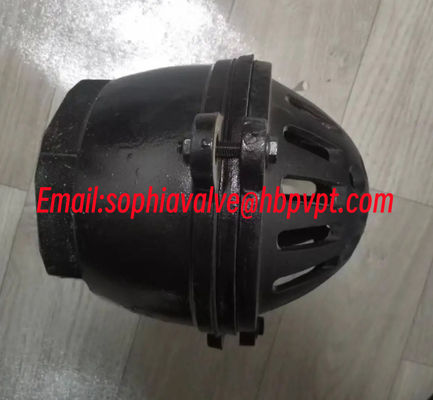 4 INCH GG20 BS21 PN16 cast iron foot valve factory