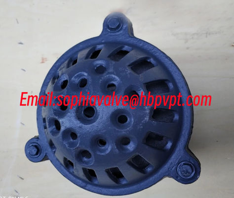 4 INCH GG20 BS21 PN16 cast iron foot valve factory