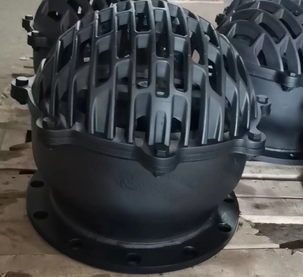 PN2.5 PN10 PN16 ductile iron flanged foot valve, suitable medium water