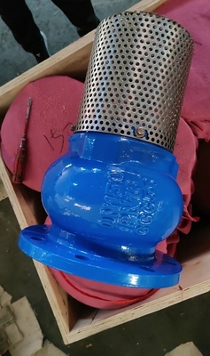 body GGG50 pressure PN16 resilient seal flange foot valve factory