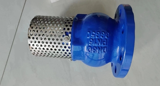 body GGG50 pressure PN16 resilient seal flange foot valve factory