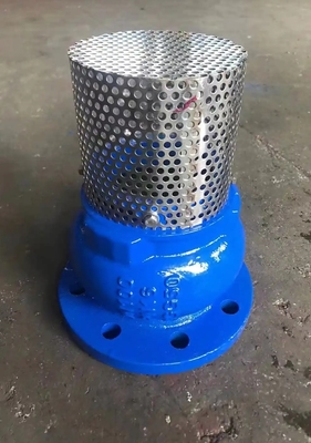 body GGG50 pressure PN16 resilient seal flange foot valve factory