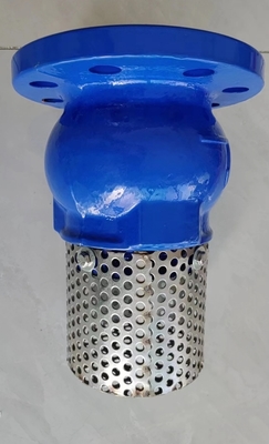 body GGG50 pressure PN16 resilient seal flange foot valve factory