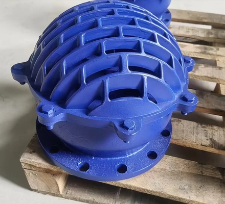 resilient seal ductile iron flanged foot valve blue color from China