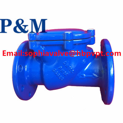 DN100 PN16 GGG50 swing check valve