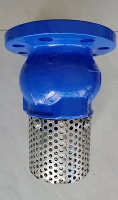 PN10/PN16 GGG50 foot valve made in China