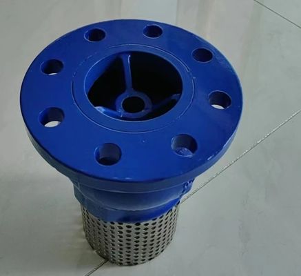 PN10/PN16 GGG50 foot valve made in China