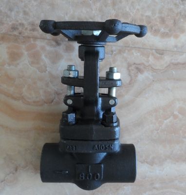 pressure 800LB ANSI standard forged globe valve