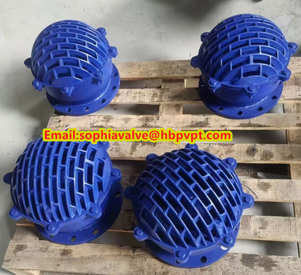 resilient seal cast iron flanged foot valve