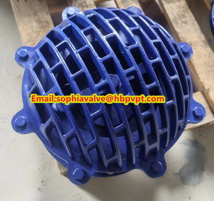 resilient seal cast iron flanged foot valve