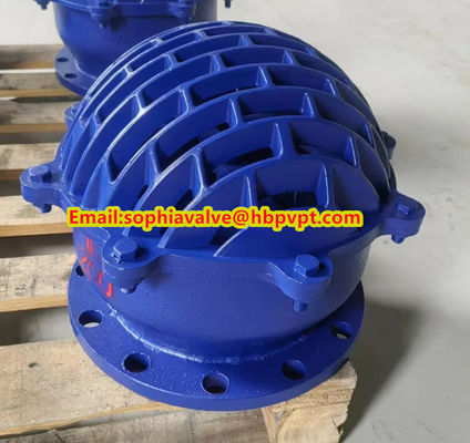 resilient seal cast iron flanged foot valve