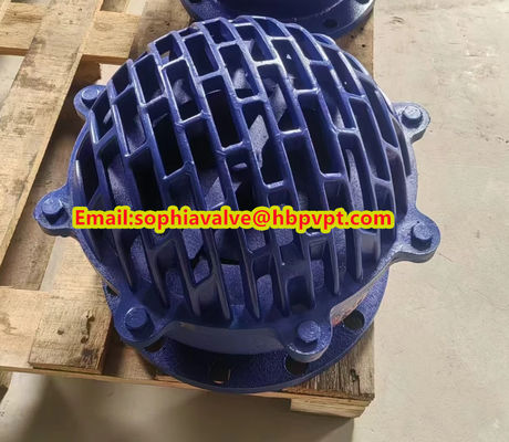 resilient seal cast iron flanged foot valve