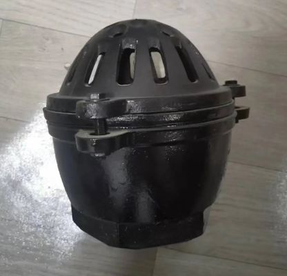 PN10 resilient seal cast iron threaded foot valve