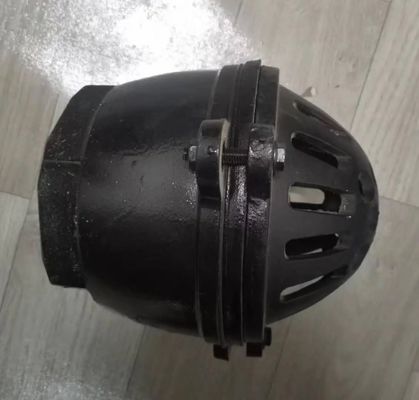 PN10 resilient seal cast iron threaded foot valve