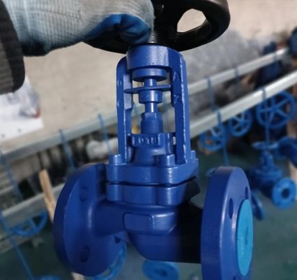 WJ41H DIN standard PN10 bellows globe valve factory from China