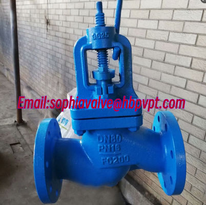 WJ41H DIN cast iron bellows globe valve PN10/16