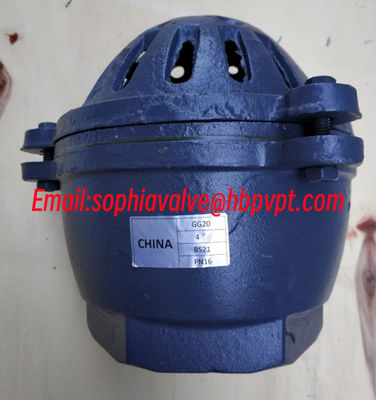 4 INCH GG20 BS21 PN16 cast iron foot valve factory