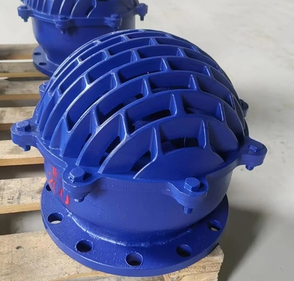 resilient seal ductile iron flanged foot valve blue color from China